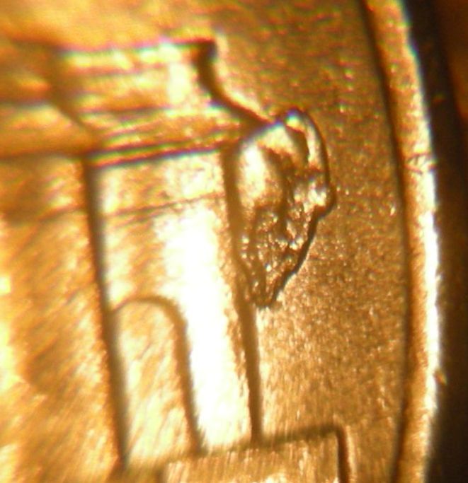 Retained-Cud?-On-Reverse-Of-A-Nickel